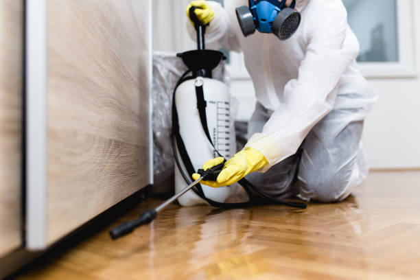 Best Pest Control Treatment  in Cabool, MO