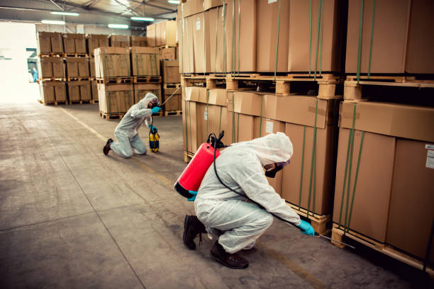 Best Local Pest Control Services  in Cabool, MO