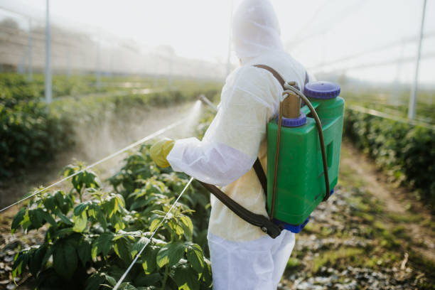 Best Pest Prevention Services  in Cabool, MO